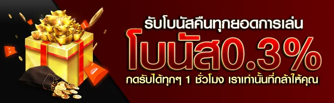 บาคาร่า 1688 โปรโมชั่น